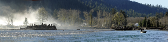 Two engineered logjams with fishermen in boat. The restoration plan for the Upper Quinault River is needed to protect and restore the famed Blueback Salmon population. Will the state do its part? The Quinault Tribal plan for the Upper Quinault River on the Olympic Peninsula applies engineered logjams and floodplain forest restoration methods modeled after natural floodplain forest developmental patterns and river channel habitat forming processes found in river valleys of the west side of the Olympic Mountains. Among other things, the logjams are designed to mimic old growth trees to create and protect river floodplain and side channel salmon habitat and foster the development of mature, self-sustaining conifer floodplain forests.