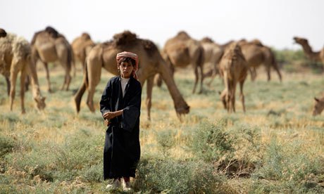 Iraq is among the countries in the Middle East facing severe water shortages. Photo: Ali al-Saadi/AFP