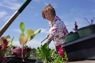 Mark Mulligan / The HeraldSandy Swanson, a licensed practical nurse at the Tulalip Health Clinic, waters plants in the new garden outside of the clinic on June 16. Swanson works in the elder care program, and when she gets a chance will duck outside to work in the garden. "It makes me smile to come out here and care for these plants," said Swanson.