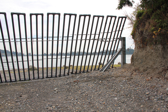 Newly built fences below the hatchery dam and fish ladder prevent sea lions from going upstream, while allowing salmon to pass through. Photo/Andrew Gobin