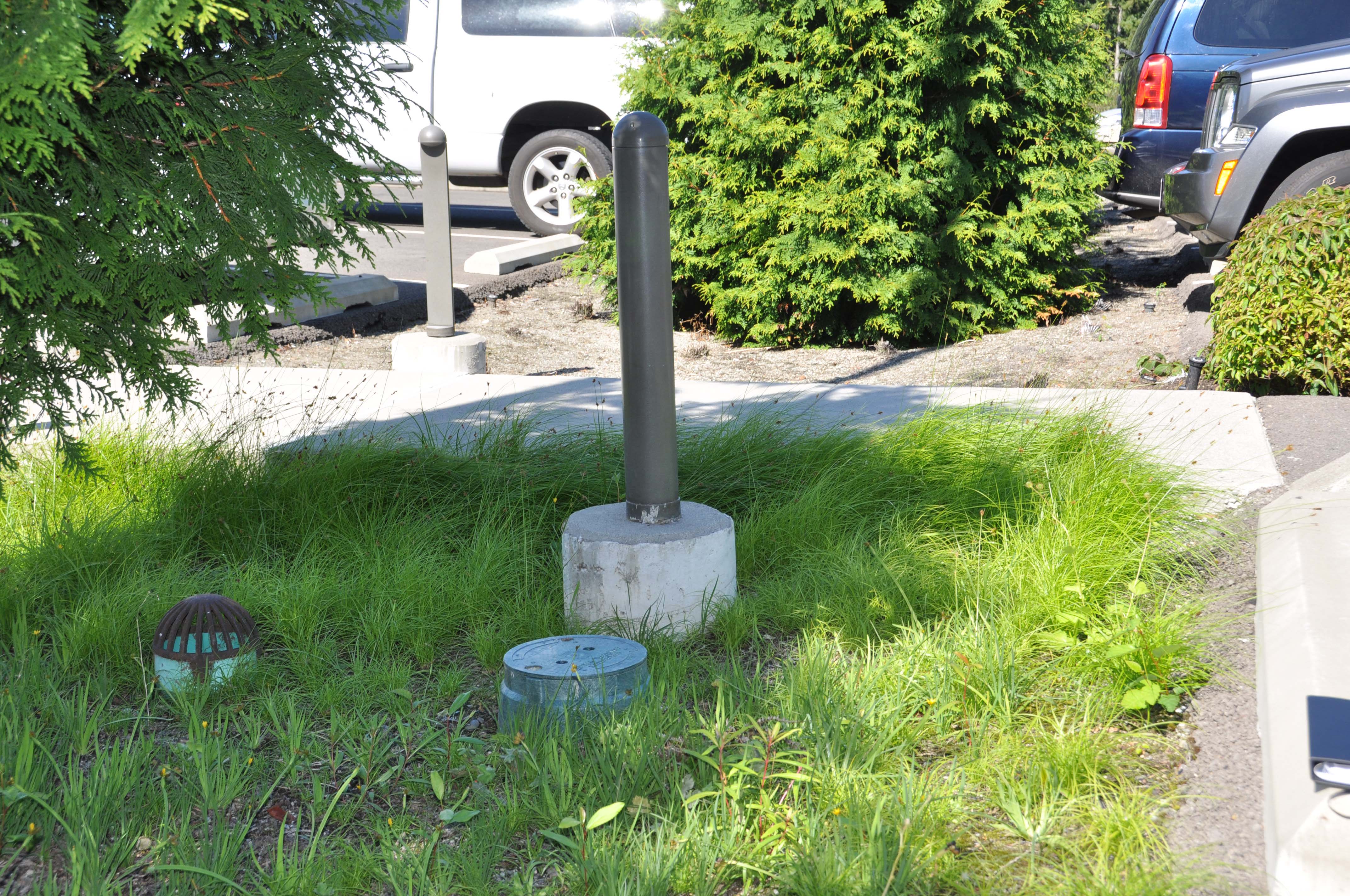 Admin building rain gardens, expect to see hundreds of blooms next spring.Photo by Monica Brown