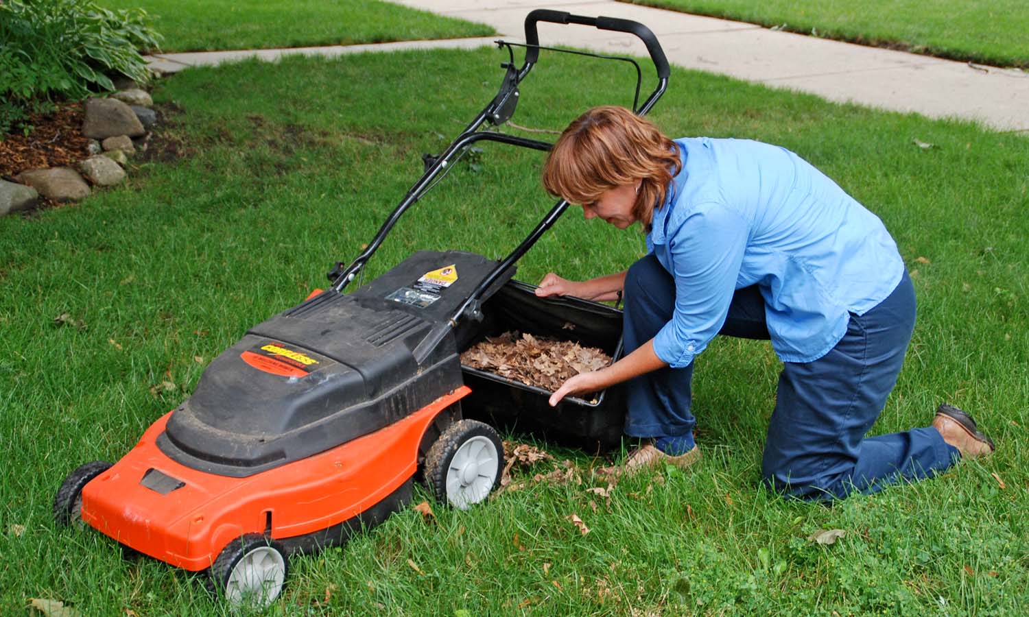 Shredding fall leaves with a mower and spreading a layer over the soil in the garden will conserve moisture and insulate the roots of perennial plants.Photo/Melinda Myers, LLC