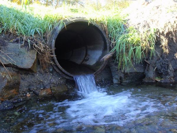Northwest Indian Fisheries CommissionAlthough much work is being done to restore salmon habitat in the Pacific Northwest—such as replacement and repair of culverts, as pictured above—salmon habitat is being compromised faster than it can be put back together.