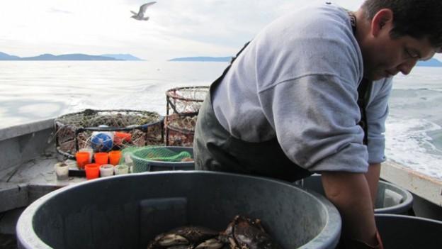 Tribal treaty fishing rights give Washington tribes the opportunity to weigh in on, and even block, projects that could impact their fishing grounds.(Ashley Ahearn/KUOW Photo)