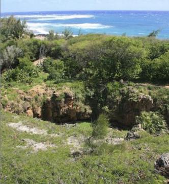 The Makauwahi Sinkhole on Kauai, which contains ocean deposits carried there by a tsunami, probably generated from an earthquake off the Aleutians about 500 years ago. 