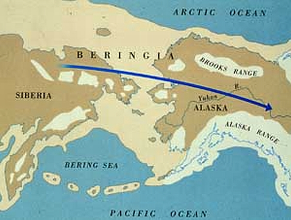 Beringia map, courtesy of Illinois State Museum