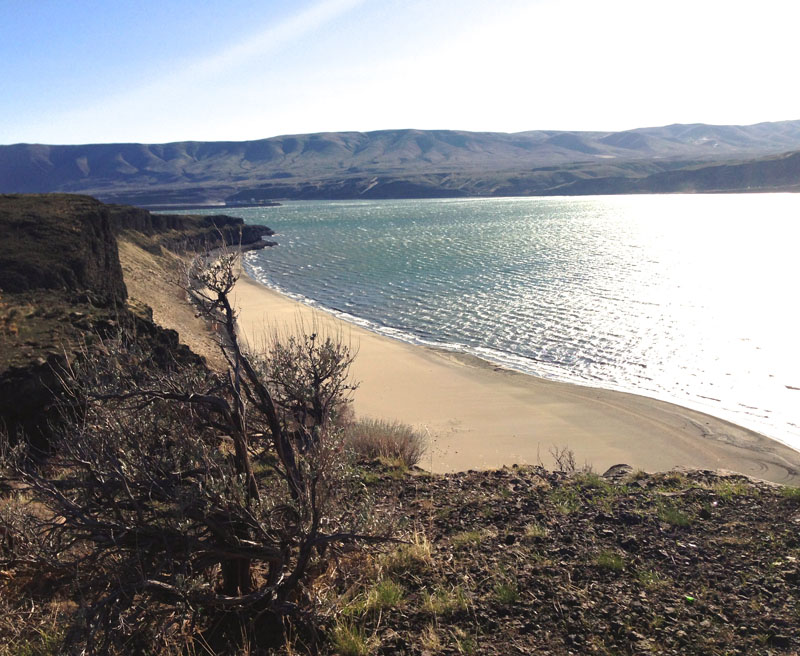 File photo. Two skeletons were found several weeks ago along newly exposed Columbia River shore. Anna King Northwest News Network 