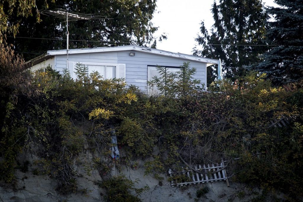 An eroding hillside near Hermosa Point on the Tulalip Reservation. (Ian Terry / The Herald) 