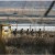 North Korea: Rockets ready “to settle accounts with the U.S.”