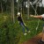 Trees working for Camano family