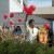 Effecting Change for Future Generations on National Native HIV/AIDS Awareness Day