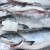 Everything comes together at Anacortes Salmon Derby