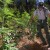 Pot vs Fish: Can We Grow Salmon-Friendly Weed?