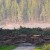 BC Mine Dam Break Threatens Northwest Fisheries