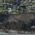 Landslide Takes Slice Out of Whidbey Island in Washington State