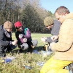 Wildlife biologists from Stillaguamish, Tulalip and Western Washington University sample DNA from elk scat.