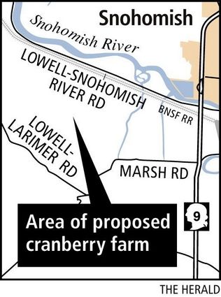 cranberry farm