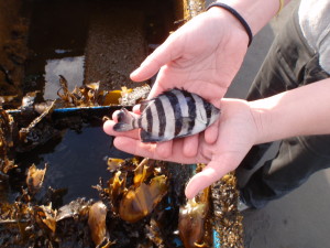 fish-found-on-skiff-3.22.132-300x225