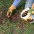Lawn Renewal and Renovation Tips to Create a Perfect Lawn this Season