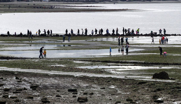 A -3.3 low tide draws beach explorers to Constellation Park in West Seattle on Saturday for one of the lowest of the year.Enlarge this photoAlan Berner / The Seattle TimesA -3.3 low tide draws beach explorers to Constellation Park in West Seattle on Saturday for one of the lowest of the year.