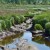 Bird sanctuary in works at Snohomish wetland