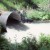 State appeals federal ruling on salmon-blocking culverts