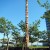 Review panel unanimously agrees that totem pole should not be removed from city’s arts collection