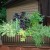 Five Creative Ways to Use Containers in Your Landscape