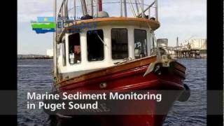 he Washington Department of Ecology analyzed contamination levels in Puget Sound sediment in 1998 and 2008. The results are concerning. | credit: Department of Ecology | 