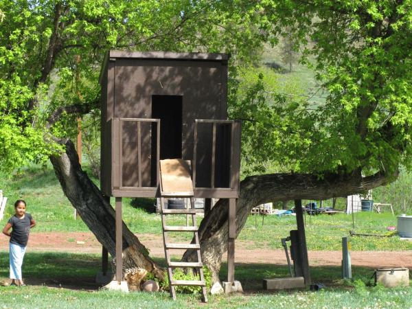  Nonee White, 10, shows off the treehouse behind her family’s home on the Northern Cheyenne Reservation, in Montana. (Stephanie Woodard)