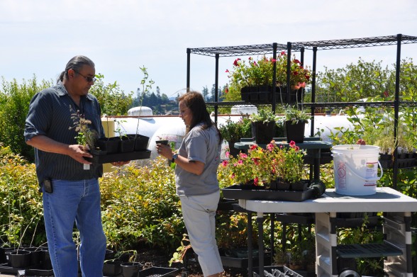 Roni Leahy on right, sorts out plants to take homePhoto by Monica Brown 