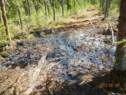 Photograph obtained by the Toronto StarOil polluting the ground at Cold Lake in Alberta.