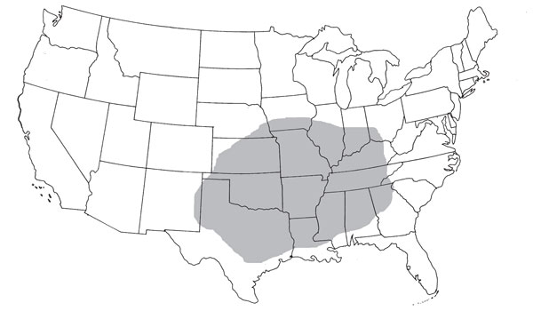 The shaded region represents the current distribution of the brown recluse.CREDIT: Erin Saupe/PLoS ONE