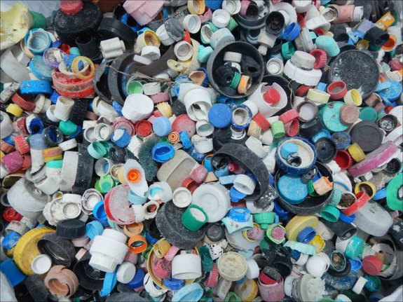 Some of the 4781 bottle caps collected from Midway Atoll shorelines by a 9-member team from the PIFSC Coral Reef Ecosystem Division during a cleanup mission in April 2013.Credit: NOAA photo by Kristen Kell