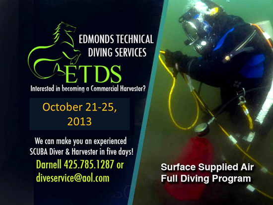 Edmonds-Diving