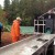 Pink salmon return to Nisqually River in record numbers