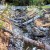 Stream restoration in the Port Susan watershed