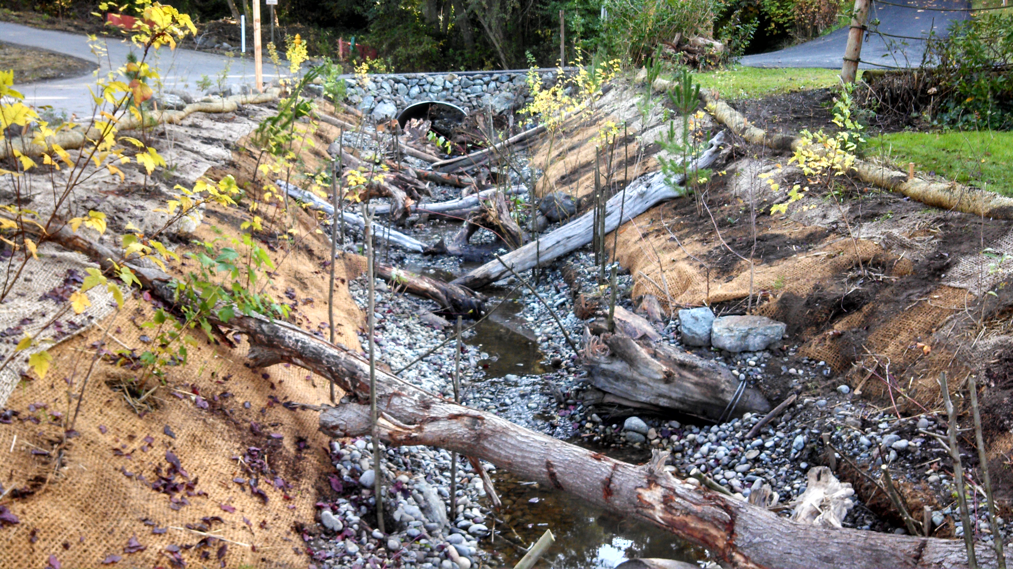 Before the culvert was restored.