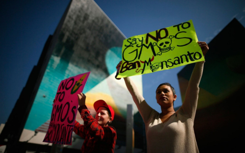 People hold signs during one of many worldwide “March Against Monsanto” protests against Genetically Modified Organisms (GMOs) and agro-chemicals, in Los Angeles, California Saturday. Photo: Lucy Nicholson/Reuters