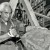 A Totem Pole History: the Work of Lummi Carver Joe Hillaire