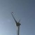 Feds OK Eagle Deaths From Wind Turbines; Osage Object