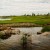 Begay Cuts Ribbon on World-Class Golf Course He Helped Design