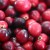 Cranberries Were a Native American Superfood