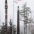 Benighted totem pole finds a home