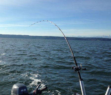 Good winter blackmouth fishery in Area 9 - Tulalip News