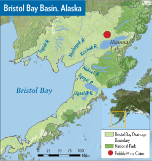 The Bristol Bay basin is made up of six major watersheds: the Togiak, Nushagak, Kvichak, Naknek, Egegik, and Ugashik.Image source: Wild Salmon Center.org