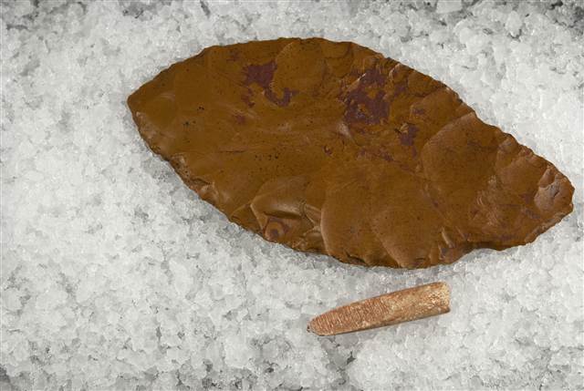 SARAH ANZICKA large biface made of brown chert along with the beveled end of an osseous rod.