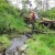 Tribes study chinook use of small coastal streams