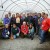 Greenhouse gardeners begin transplanting crops to aid local food banks