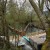 Upper Skagit Tribe looks at steelhead survival